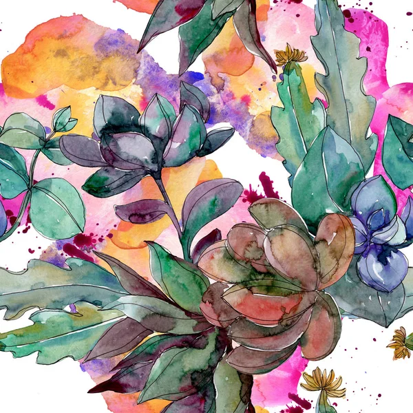 Sukkulenten florale botanische Blumen. wilde Frühlingsblume. Aquarell-Illustrationsset vorhanden. Aquarell zeichnen Mode-Aquarell. nahtlose Hintergrundmuster. Stoff Tapete drucken Textur. — Stockfoto