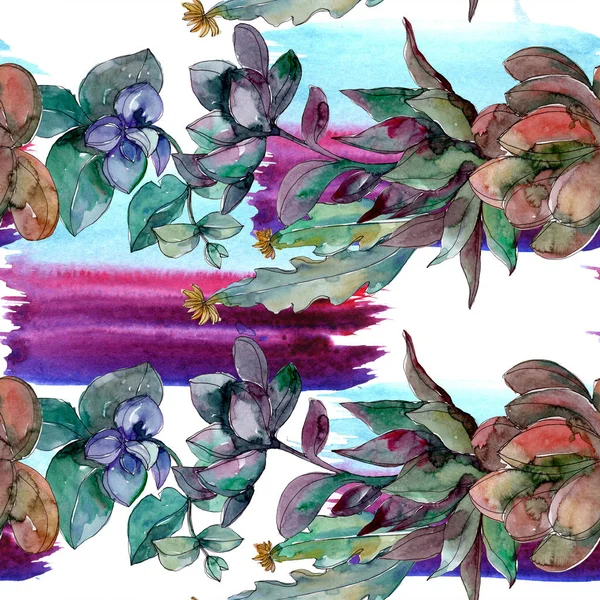 Sukkulenten florale botanische Blumen. wilde Frühlingsblume. Aquarell-Illustrationsset vorhanden. Aquarell zeichnen Mode-Aquarell. nahtlose Hintergrundmuster. Stoff Tapete drucken Textur. — Stockfoto