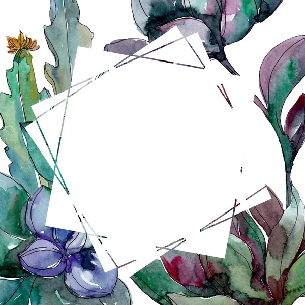 Succulents floral botanical flowers. Wild spring leaf wildflower isolated. Watercolor background illustration set. Watercolour drawing fashion aquarelle isolated. Frame border ornament square. — Stock Photo
