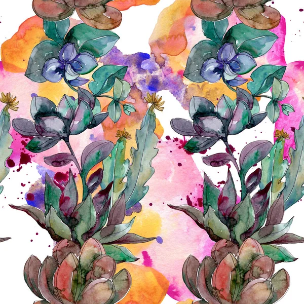 Sukkulenten florale botanische Blumen. wilde Frühlingsblume. Aquarell-Illustrationsset vorhanden. Aquarell zeichnen Mode-Aquarell. nahtlose Hintergrundmuster. Stoff Tapete drucken Textur. — Stockfoto