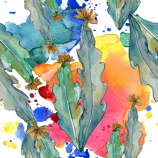 Sukkulenten florale botanische Blumen. wilde Frühlingsblume. Aquarell-Illustrationsset vorhanden. Aquarell zeichnen Mode-Aquarell. nahtlose Hintergrundmuster. Stoff Tapete drucken Textur. — Stockfoto