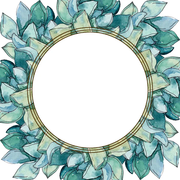 Succulente fiori botanici floreali. Fiore selvatico primaverile isolato. Acquerello sfondo illustrazione set. Acquerello disegno moda acquerello isolato. Quadrato ornamento bordo cornice . — Foto stock