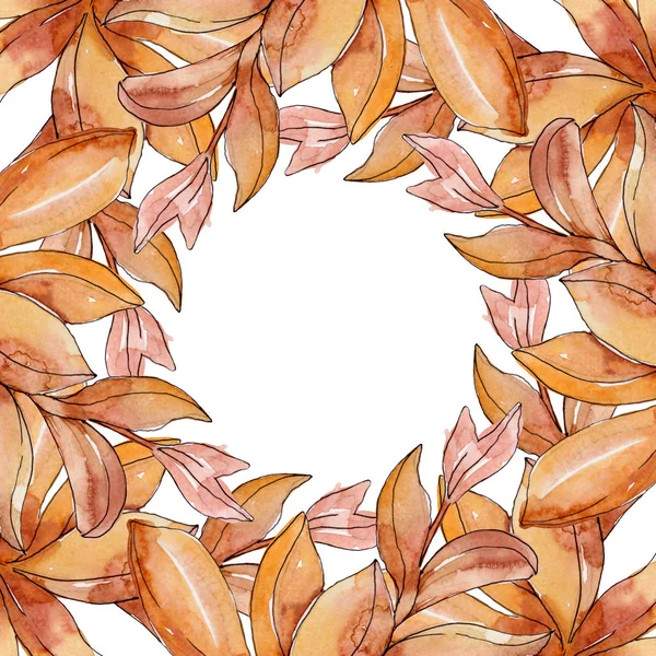 Succulents floral botanical flowers. Wild spring leaf wildflower isolated. Watercolor background illustration set. Watercolour drawing fashion aquarelle isolated. Frame border ornament square. — Stock Photo