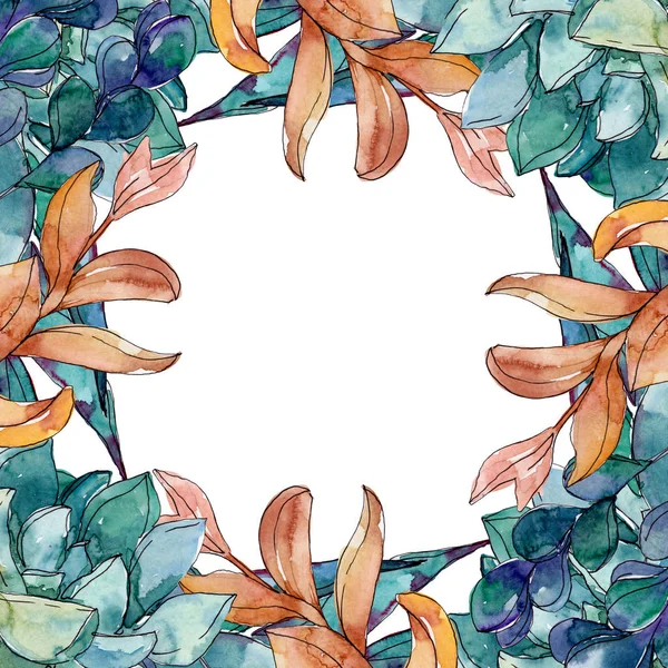 Succulente fiori botanici floreali. Fiore selvatico primaverile isolato. Acquerello sfondo illustrazione set. Acquerello disegno moda acquerello isolato. Quadrato ornamento bordo cornice . — Foto stock