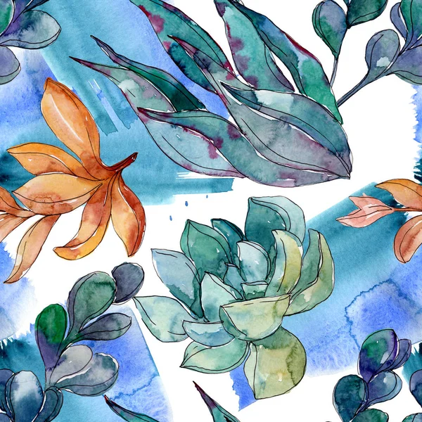 Sukkulenten florale botanische Blumen. wilde Frühlingsblume. Aquarell-Illustrationsset vorhanden. Aquarell zeichnen Mode-Aquarell. nahtlose Hintergrundmuster. Stoff Tapete drucken Textur. — Stockfoto