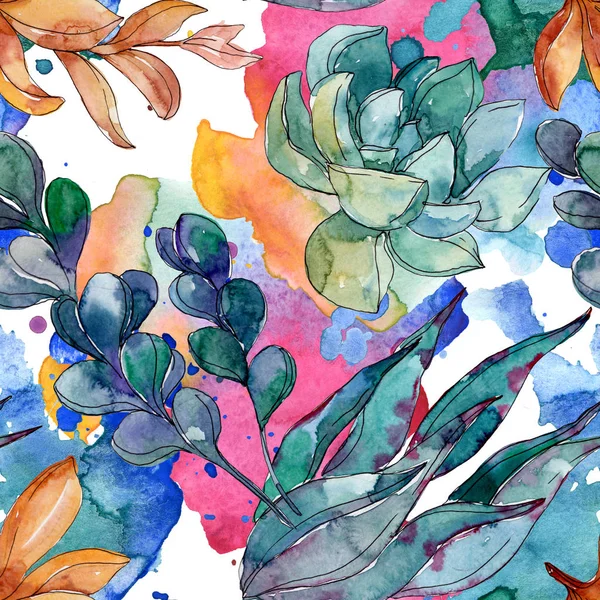 Fleurs botaniques florales succulentes. Feuille de printemps sauvage fleur sauvage. Ensemble d'illustration aquarelle. Aquarelle dessin mode aquarelle. Modèle de fond sans couture. Texture d'impression papier peint tissu . — Photo de stock