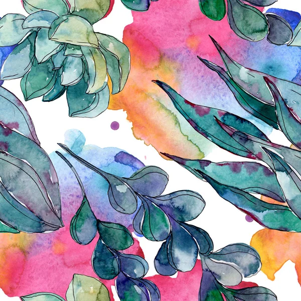 Suculentas flores botánicas florales. Flor silvestre de hoja de primavera. Juego de ilustración en acuarela. Acuarela dibujo moda aquarelle. Patrón de fondo sin costuras. Textura de impresión de papel pintado de tela . — Stock Photo