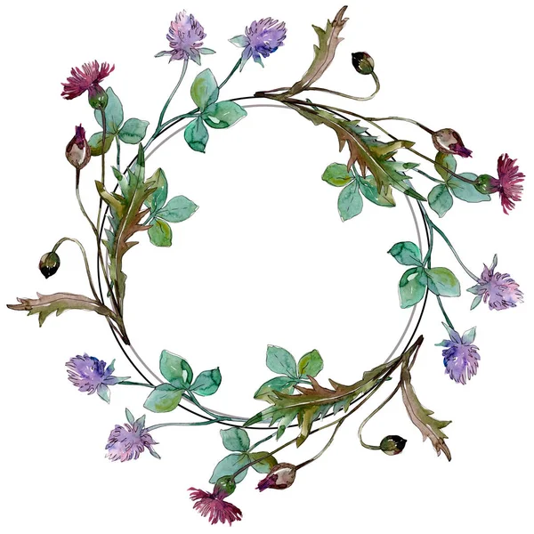 Fiori di campo fiori botanici floreali. Acquerello sfondo illustrazione set. Quadrato ornamento bordo cornice . — Foto stock