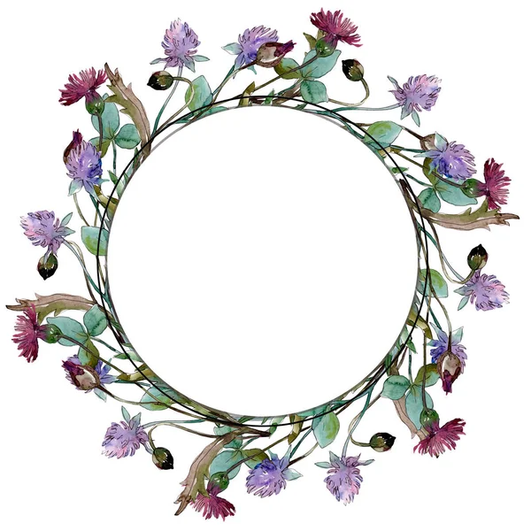 Fiori di campo fiori botanici floreali. Acquerello sfondo illustrazione set. Quadrato ornamento bordo cornice . — Foto stock