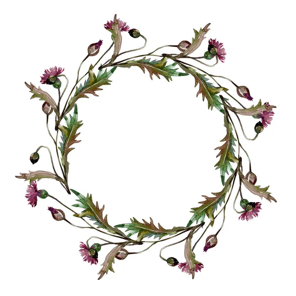 Fiori di campo fiori botanici floreali. Acquerello sfondo illustrazione set. Quadrato ornamento bordo cornice . — Foto stock