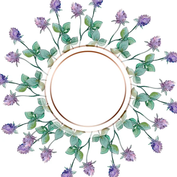 Fiori di campo fiori botanici floreali. Acquerello sfondo illustrazione set. Quadrato ornamento bordo cornice . — Foto stock