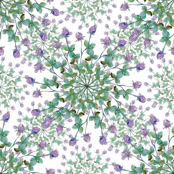 Fiori di campo fiori botanici floreali. Acquerello sfondo illustrazione set. Modello di sfondo senza soluzione di continuità . — Foto stock
