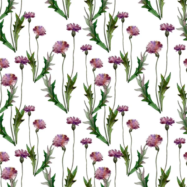 Wildflowers floral botanical flowers. Wild spring leaf wildflower. Watercolor illustration set. Watercolour drawing fashion aquarelle. Seamless background pattern. Fabric wallpaper print texture. — Stock Photo