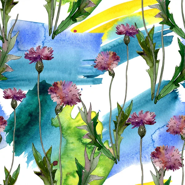 Wildblumen florale botanische Blumen. wilde Frühlingsblume. Aquarell-Illustrationsset vorhanden. Aquarell zeichnen Mode-Aquarell. nahtlose Hintergrundmuster. Stoff Tapete drucken Textur. — Stockfoto