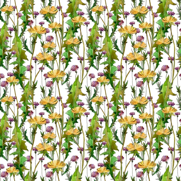 Wildflowers floral botanical flowers. Wild spring leaf wildflower. Watercolor illustration set. Watercolour drawing fashion aquarelle. Seamless background pattern. Fabric wallpaper print texture. — Stock Photo