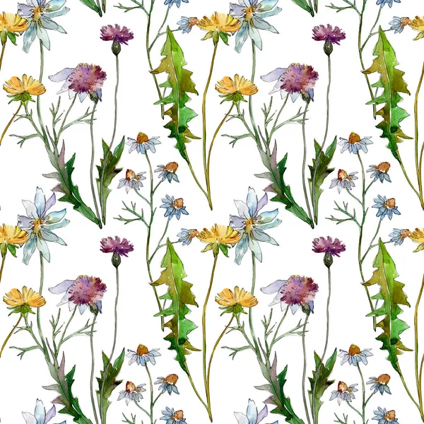 Wildflowers floral botanical flowers. Wild spring leaf wildflower. Watercolor illustration set. Watercolour drawing fashion aquarelle. Seamless background pattern. Fabric wallpaper print texture. — Stock Photo