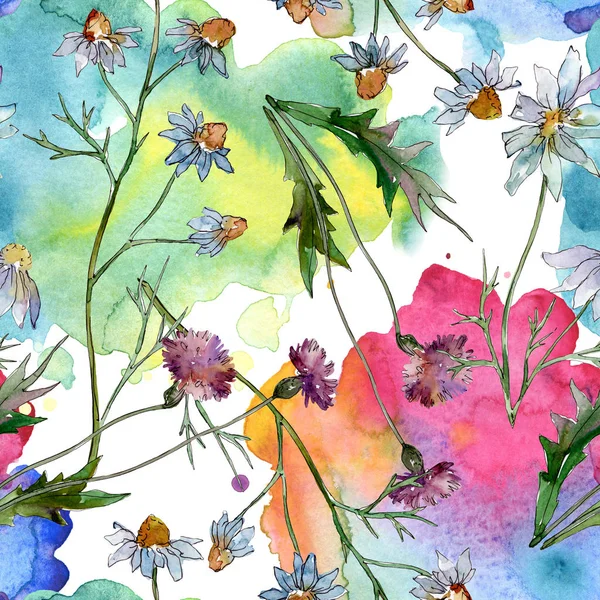 Wildblumen florale botanische Blumen. wilde Frühlingsblume. Aquarell-Illustrationsset vorhanden. Aquarell zeichnen Mode-Aquarell. nahtlose Hintergrundmuster. Stoff Tapete drucken Textur. — Stockfoto