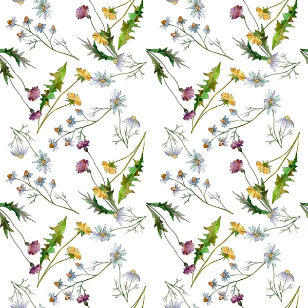 Wildflowers floral botanical flowers. Wild spring leaf wildflower. Watercolor illustration set. Watercolour drawing fashion aquarelle. Seamless background pattern. Fabric wallpaper print texture. — Stock Photo