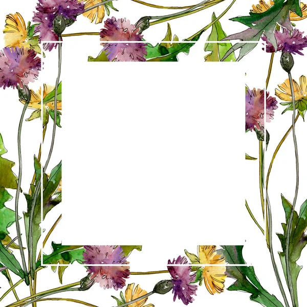 Fleurs sauvages fleurs botaniques florales. Feuille sauvage de printemps fleur sauvage isolée. Ensemble d'illustration de fond aquarelle. Aquarelle dessin mode aquarelle isolé. Cadre bordure ornement carré . — Photo de stock