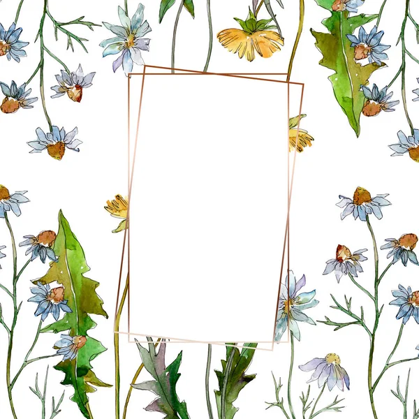 Wildflowers floral botanical flowers. Wild spring leaf wildflower isolated. Watercolor background illustration set. Watercolour drawing fashion aquarelle isolated. Frame border ornament square. — Stock Photo