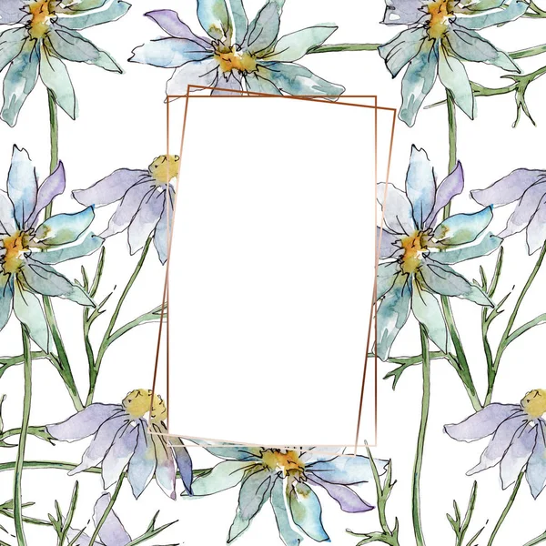 Wildflowers floral botanical flowers. Wild spring leaf wildflower isolated. Watercolor background illustration set. Watercolour drawing fashion aquarelle isolated. Frame border ornament square. — Stock Photo