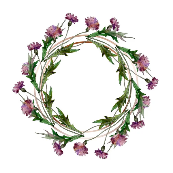 Fiori di campo fiori botanici floreali. Fiore selvatico primaverile isolato. Acquerello sfondo illustrazione set. Acquerello disegno moda acquerello isolato. Quadrato ornamento bordo cornice . — Foto stock