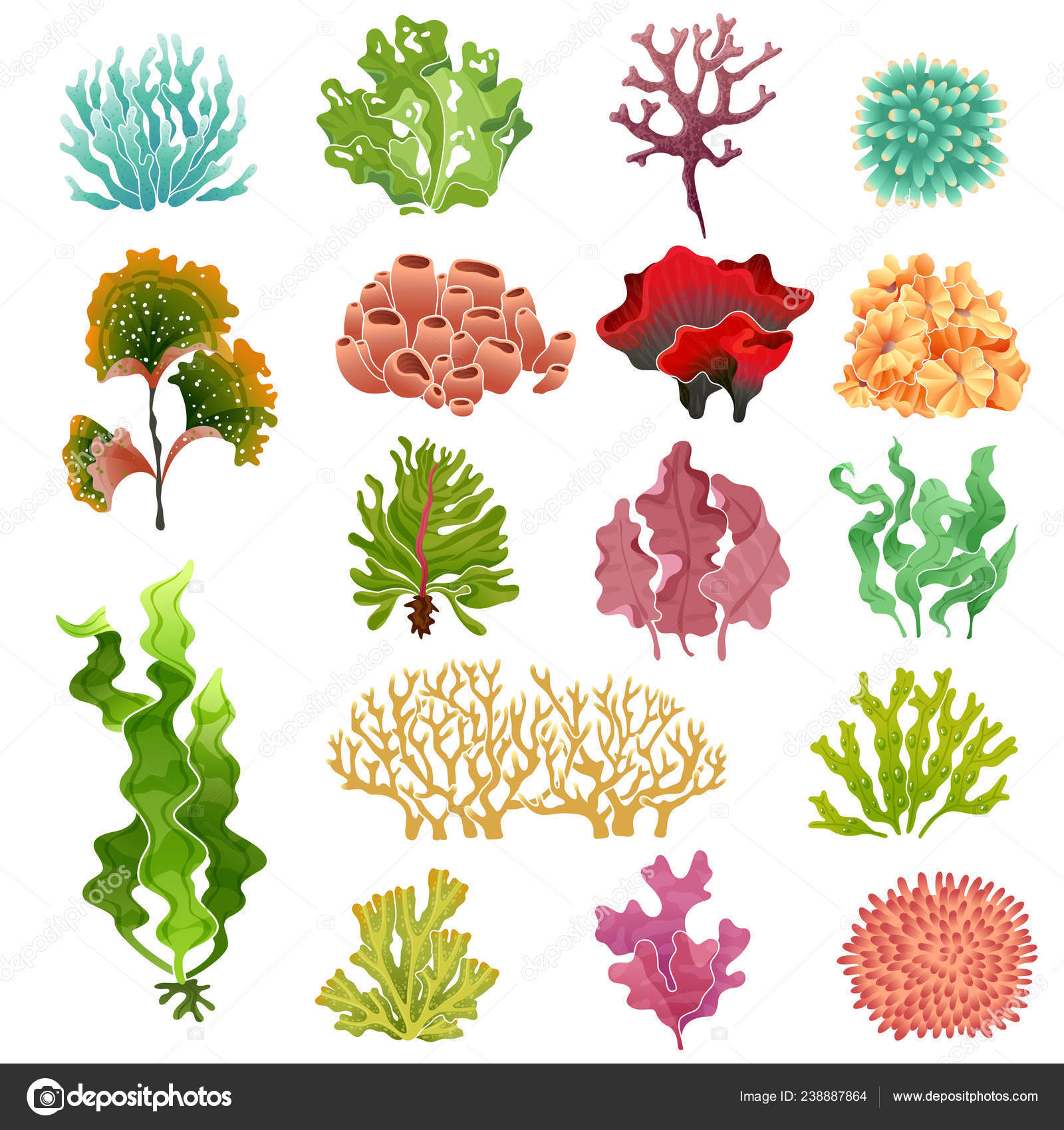 Coral And Seaweed Underwater Flora Sea Water Seaweeds Aquarium Kelp And Corals Ocean Plants Vector Set Vector Image By C Yummybuum Vector Stock Coral And Seaweed Underwater Flora Sea Water Seaweeds Aquarium Kelp And Corals Ocean Plants Vector Set Vector Image By C Yummybuum Vector Stock