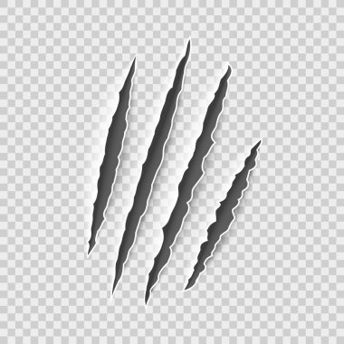 Download Claw Mark Free Vector Eps Cdr Ai Svg Vector Illustration Graphic Art