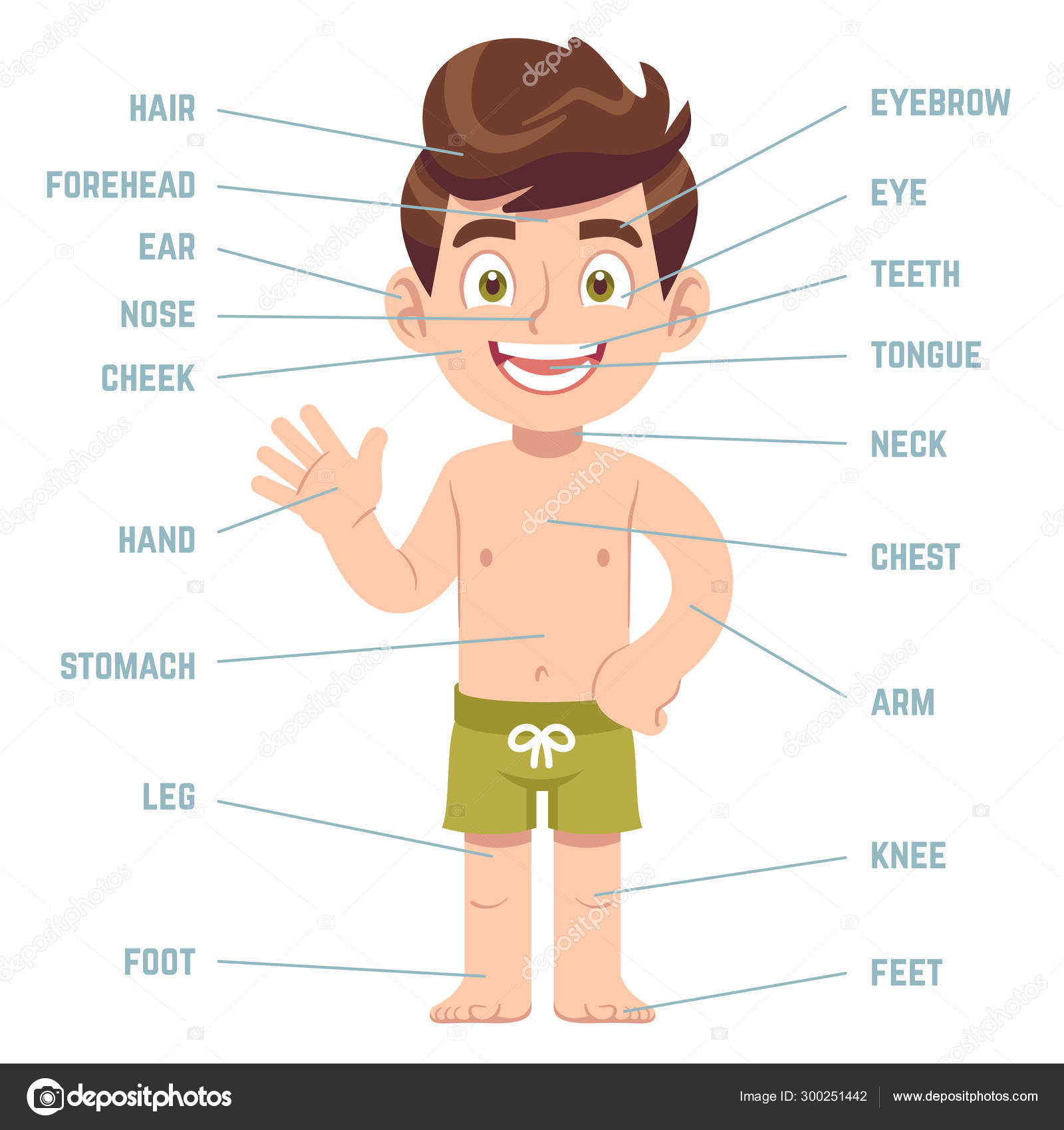 Child Body Parts  Boy With Eye  Nose And Mouth  Hair  Ear