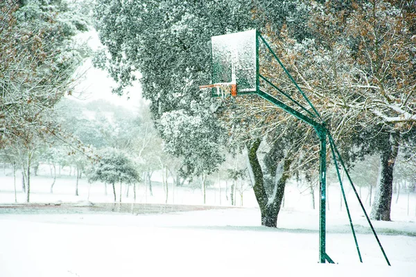 Basketball basket in snowy field