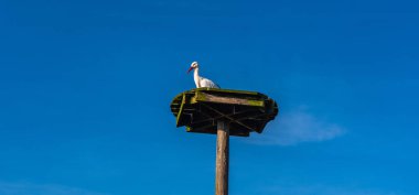 Çocuk Parkı 'brielmeersen' Belçika, leylek izle