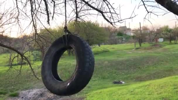 Neumático de la rueda balanceándose sobre el árbol — Vídeos de Stock