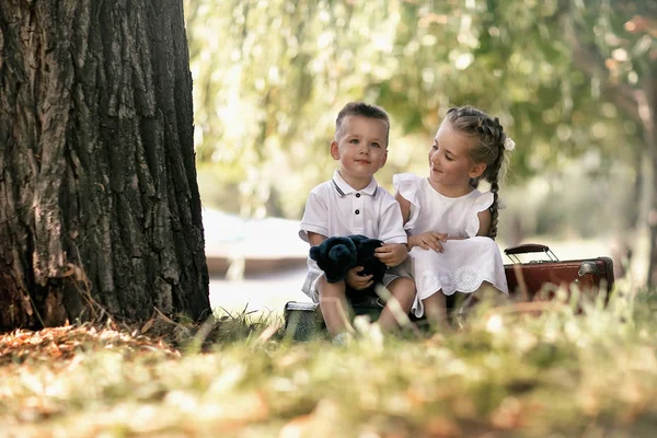 Діти Сидять Біля Дерева Серед Зеленого Листя Парку — стокове фото