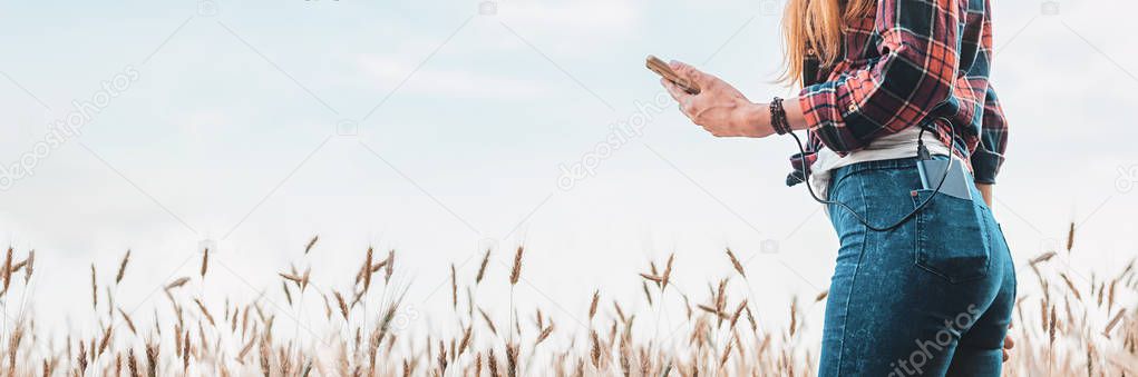 Panoramic web banner Power bank in the back pocket of a girl in a yellow field charges the phone, against the background of ears of wheat and sky, rear view of a young beautiful woman.