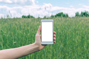 Bir kızın elindeki akıllı telefonu, yeşil bir tarlanın arka planında taklit et..