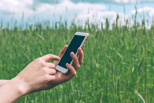 Bir kızın elindeki akıllı telefon, yeşil bir tarlanın arka planında..