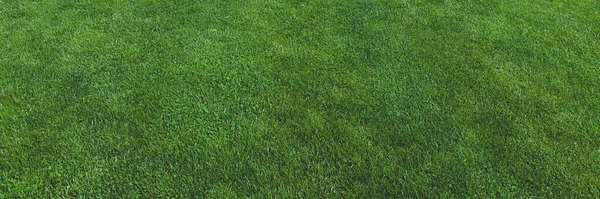Grünes Gras Textur Für Hintergrund Wiese Rasenplatz Für Fußball Banner — Stockfoto