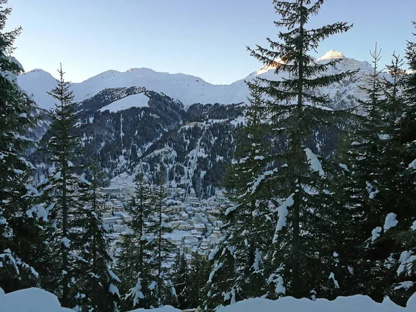Χειμερινή Άποψη Του Νταβός Από Μια Χιονισμένη Πλαγιά Δάσος Ελβετία — Φωτογραφία Αρχείου