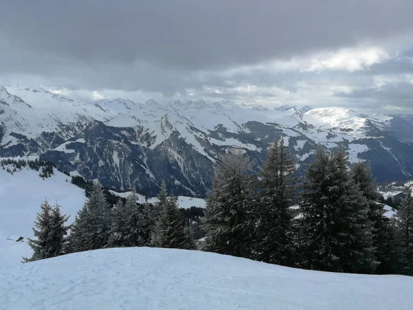 Hoch Ybrig 的滑雪场和雪山 — 图库照片