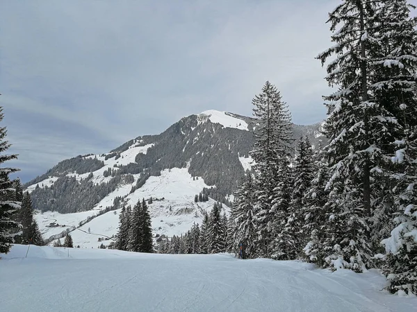 Skipistes Met Sneeuw Bedekte Bergen Hoch Ybrig Zwitserland — Stockfoto