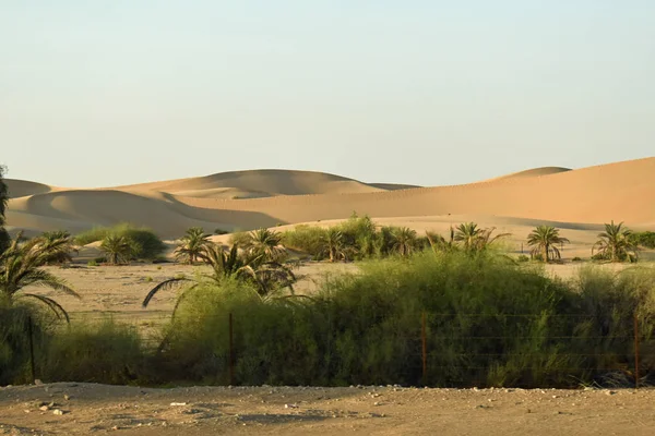Пути Приключениям Бездорожью Пустыни Сафари Бесконечной Пустыне Около Абу Даби — стоковое фото