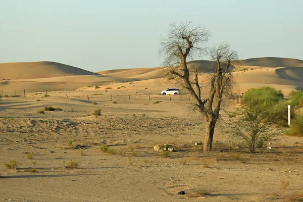 Пути Приключениям Бездорожью Пустыни Сафари Бесконечной Пустыне Около Абу Даби — стоковое фото