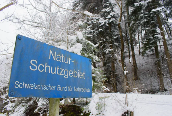 Nature reserve sign and fresh snow in a forest with tall trees in Switzerland.