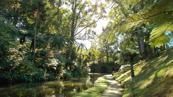 Grüner Garten mit Bach auf der Insel São Miguel — Stockfoto