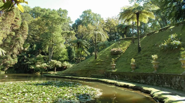 Grüner Garten mit Bach auf der Insel Sao Miguel, Azoren — Stockfoto