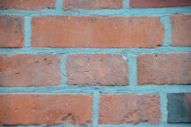 Tuğla duvar arka plan deseni. Hollanda'da çekilen