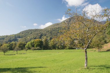İsviçre Alplerinde sonbahar