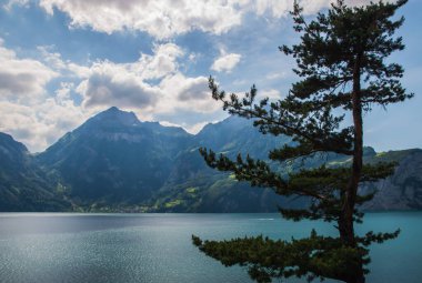 Sisikon ve Fluelen yakınlarındaki Lucerne Gölü 'nün panoramik manzarası.