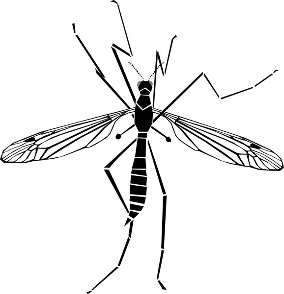 Ilustración Vector Silueta Mosquito — Vector de stock