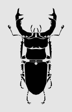 Geyik böceği, vektör illüstrasyonu